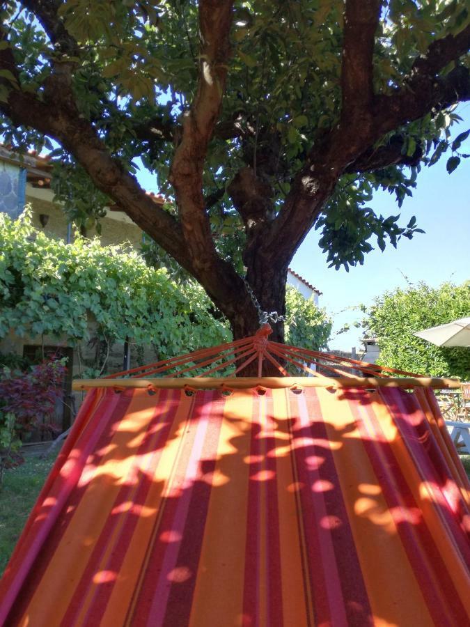 O Ze Ja Dormiu Aqui Villa Celeiros Exterior photo